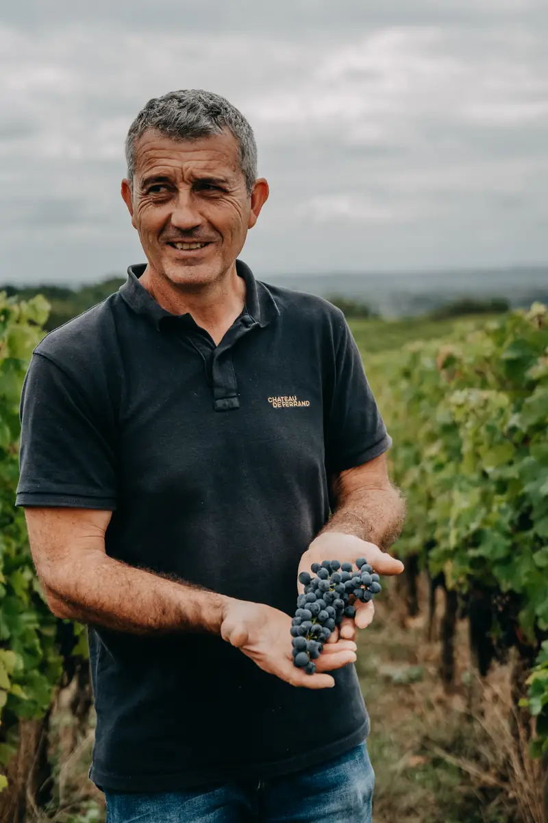 Vigneron présentant une grappe pendant les vendanges au Château Ferrand